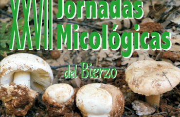 XXVII Jornadas micológicas del Bierzo
