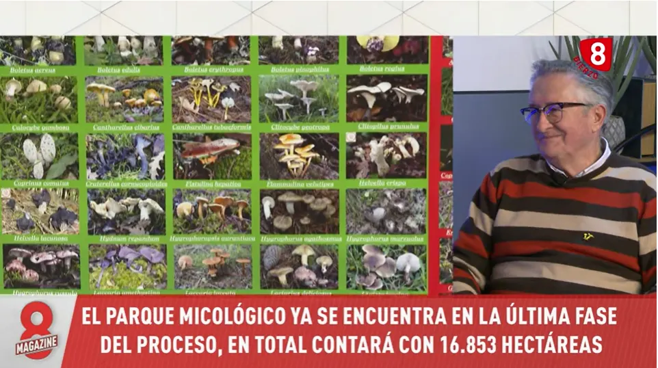 El parque micológico del Bierzo en su última fase