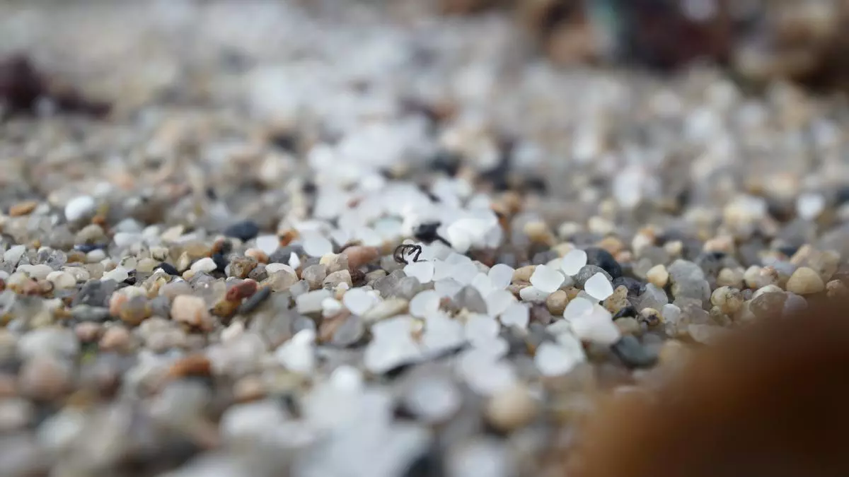 El vertido de pellets, una catástrofe ambiental en toda regla