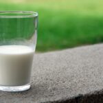 La leche, el alimento que no debe faltar un tu dieta