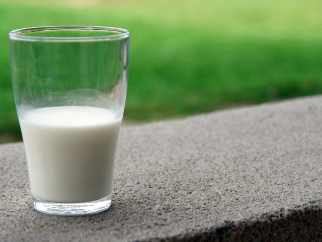 La leche, el alimento que no debe faltar un tu dieta