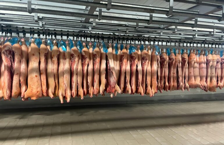 Abierto el plazo  de alegaciones al proyecto de decreto que regulará el  complemento de los veterinarios  de mataderos e industrias alimentarias
