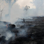 Los efectos de los incendios, también en tu salud