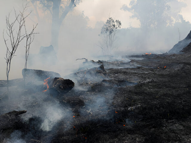 Los efectos de los incendios, también en tu salud