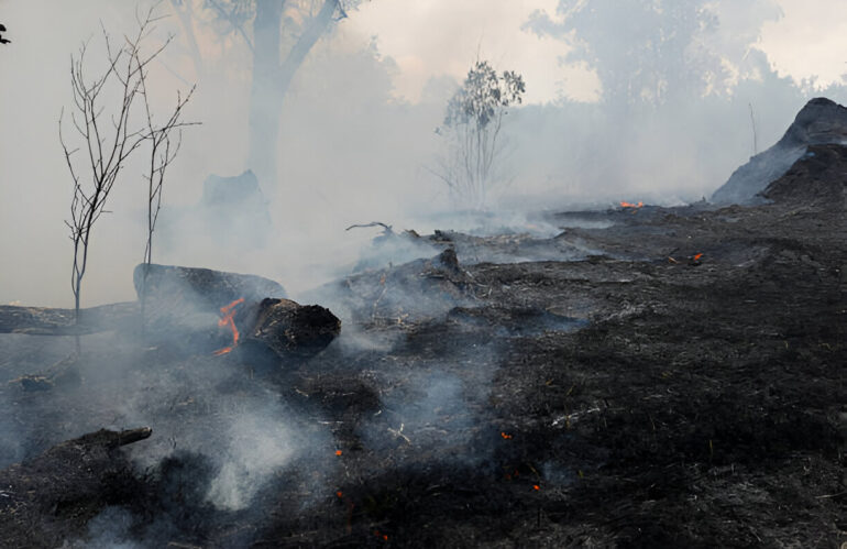 Los efectos de los incendios, también en tu salud