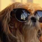 ¿Cómo se comportan los animales ante un eclipse?